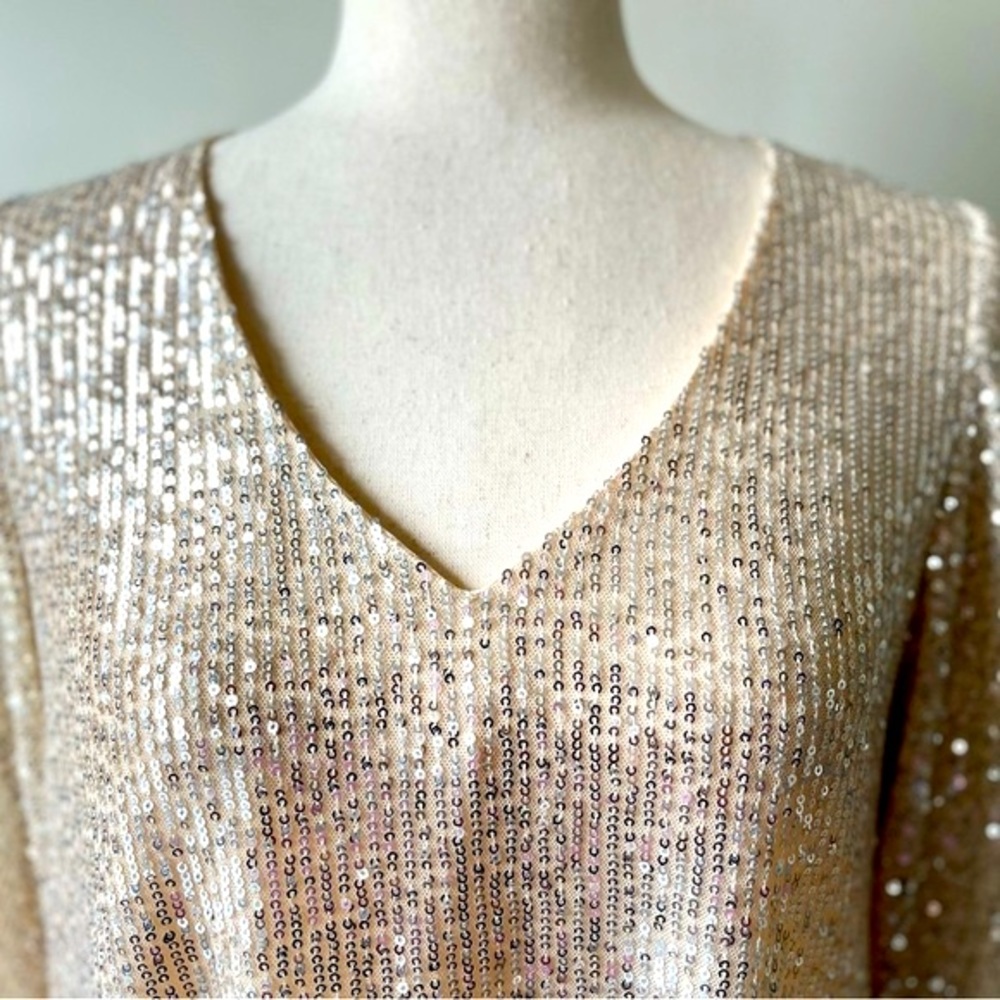 Vine & Love | V-Neck Sequin Blouse with Balloon Sleeves | Champagne | Small - Picture 2 of 5